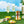 Load image into Gallery viewer, Elderflower Bitters Infused Champagne &amp; Cocktail Cubes
